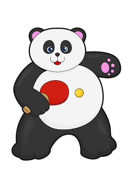 Panda Table tennis racket