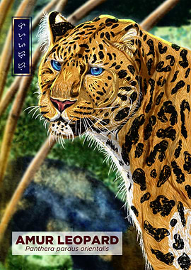 Amur leopard