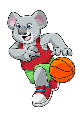 Koala Basketball Sports