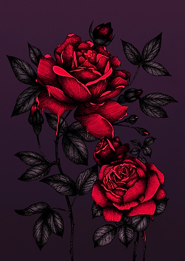 Bleeding Roses