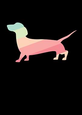 Colourful Sausage Dog