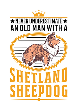 Sheltie Old Man Shetland