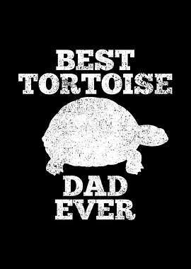 Tortoise Dad Father