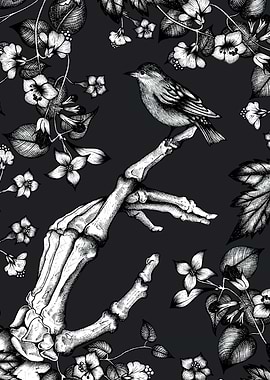 Skeleton and Sparrow