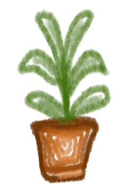 green leaves brown pot