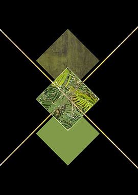 botany in the square