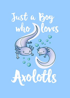 Just a Boy who loves