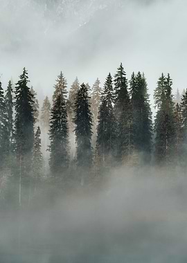 August in the morning