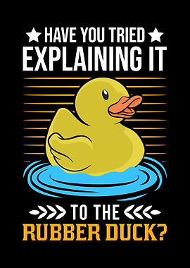 Have You Tried Explaining