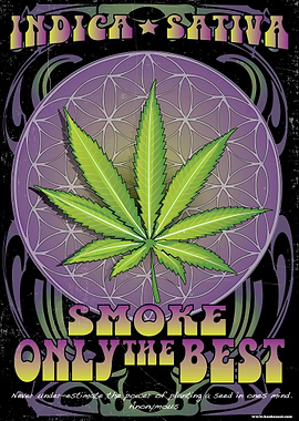 Smoke The Best 2