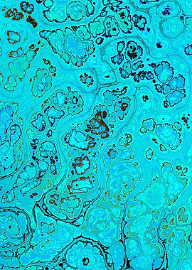 Turquoise Gem Texture 22