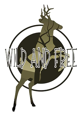 Deer animal wild and free