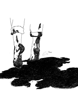 Should have worn Shoes