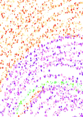 colorful stars abstract pa