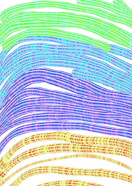 colorful lines abstract