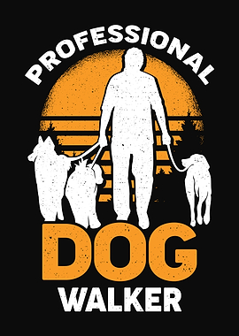 Professional Dog Walker