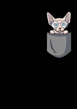 Sphynx Cat Pocket