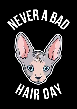 Never A Bad Hair Day