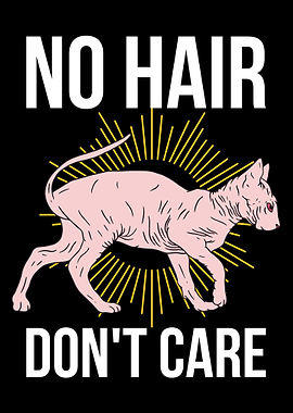 No Hair Dont Care Sphynx