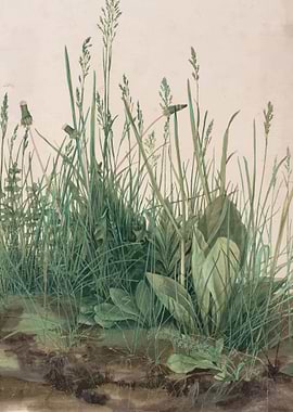 Albrecht Durer Durero