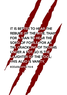 Ecclesiastes 7 5 6