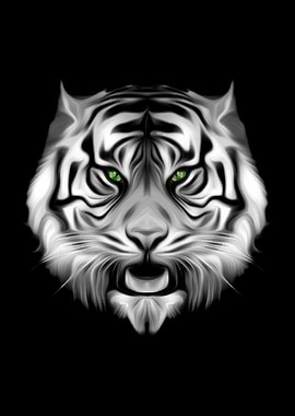 Black White Striped Tiger