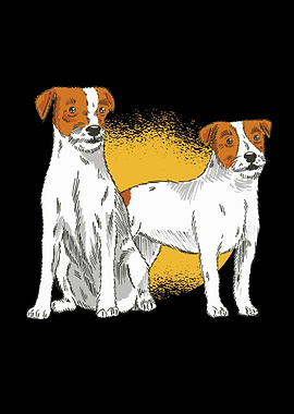 Parson Russell Terrier