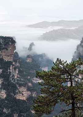 Impressions of Zhangjiajie