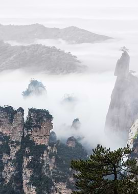 Impressions of Zhangjiajie