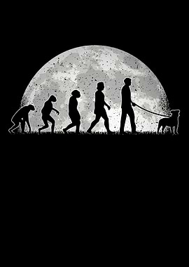 Parson Russell Terrier