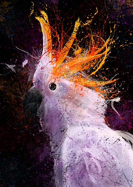 Cockatoo Profile