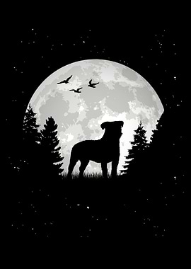 Parson Russell Terrier