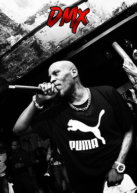 DMX Rapper