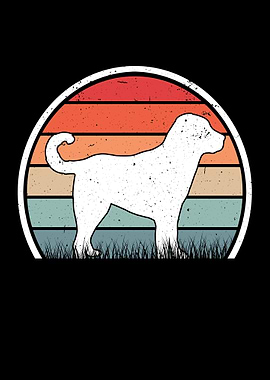 Kangal Retro Anatolian