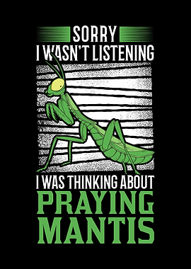 Praying Mantis