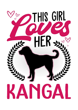 This Girl Loves Her Kangal