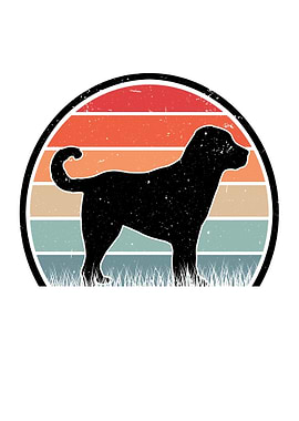 Kangal Retro Anatolian