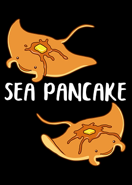 Sea Pancake