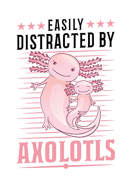 Axolotl Salamander