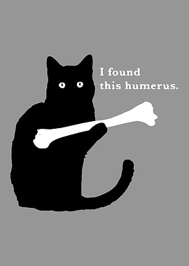 i found this humerus cat
