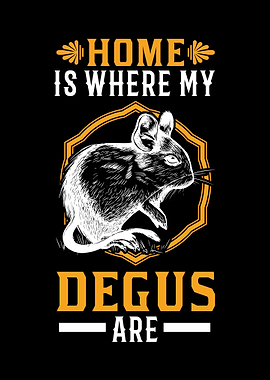 Home Is Where My Degus Are