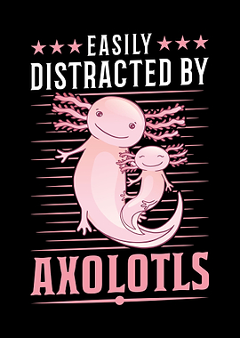 Axolotl Salamander
