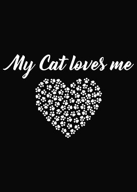 Cat Cats Feline Kitty Cat