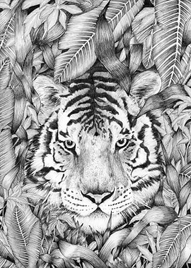 Jungle Tiger Majesty