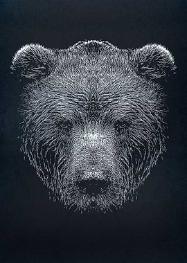 bear silhouette