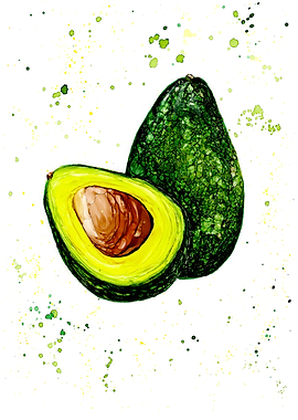 Lush Avocado