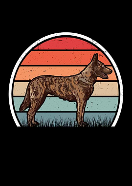 Hollandse Herder Retro