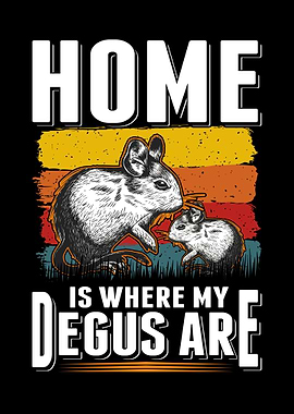 Home Is Where My Degus Are