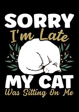 My Cat Was Sitting On Me