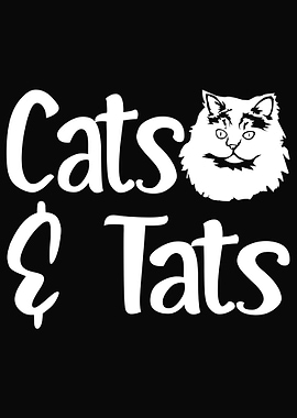 Cat Cats Feline Kitty Cat